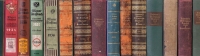 Buchrücken Lehmann-Bände aus der Wienbibliothek, Foto: Catharina Freuis farbige Buchrücken